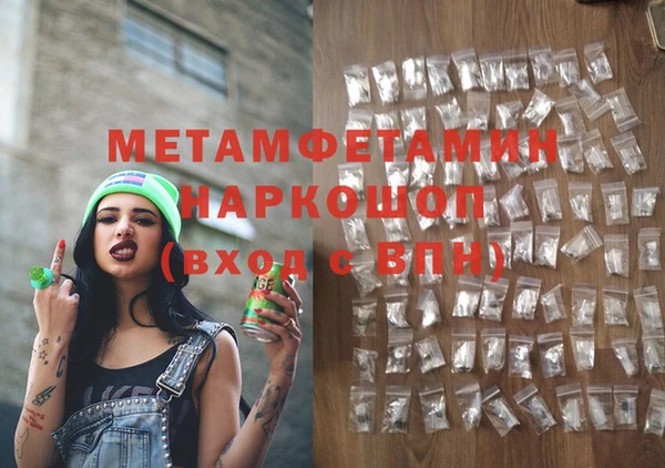 гидра Богородск