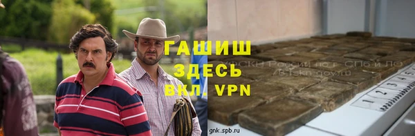 гидра Богородск