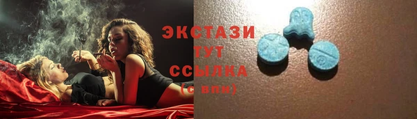 гидра Богородск