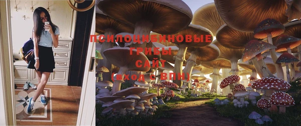 кокаин Богданович