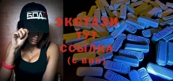 гидра Богородск