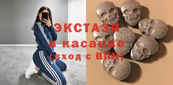 гидра Богородск