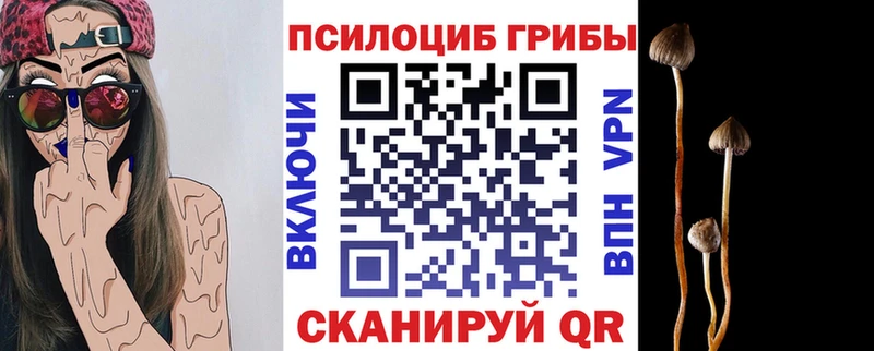 kraken зеркало  Нариманов  Галлюциногенные грибы мухоморы 